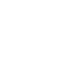Icon New Technologies